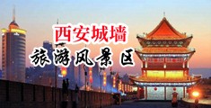 猛操女人下部无遮挡中国陕西-西安城墙旅游风景区